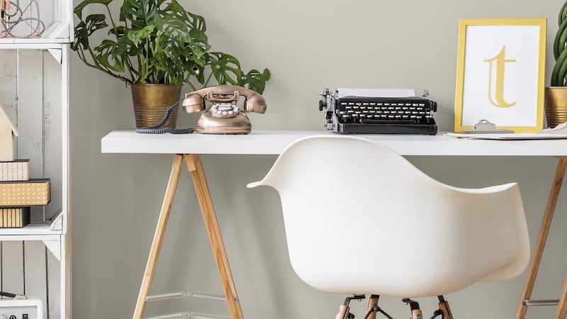 Colourtrend Kittiwake.