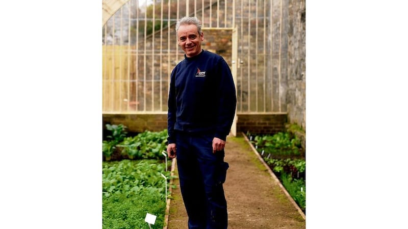 Peter Meleady, OPW gardener in charge of the fruit and vegetable walled garden at the National Botanic Gardens of Ireland.