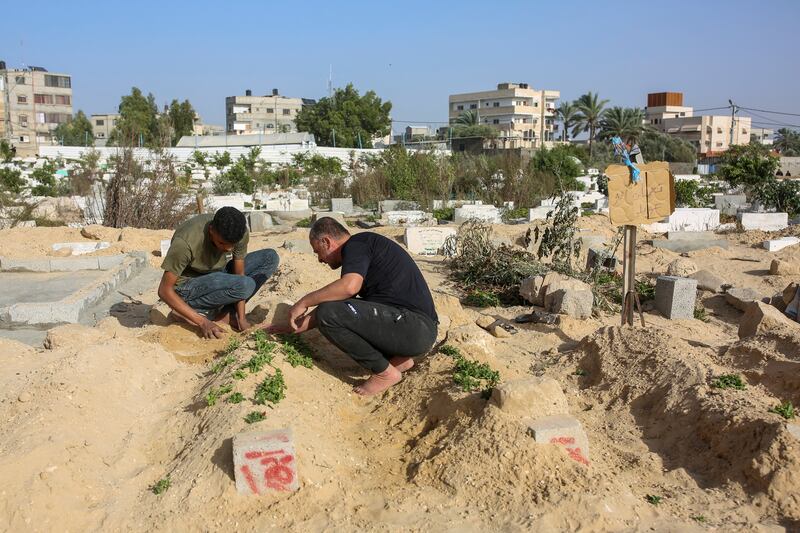 Palestinians arrange the graves of relatives buried during the ceasefire in the war between Hamas and Israel, in a cemetery in Deir al-Balah, Gaza, on Sunday. Photograph: Samar Abu Elouf/New York Times
                      