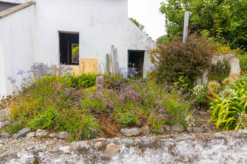 The garden was looking well, but not much else. Photograph: Patrick Browne