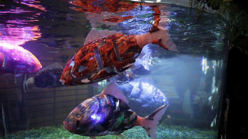 Robotic hotel: the Henn-na’s fishbots. Photograph: Kiyoshi Ota/Bloomberg