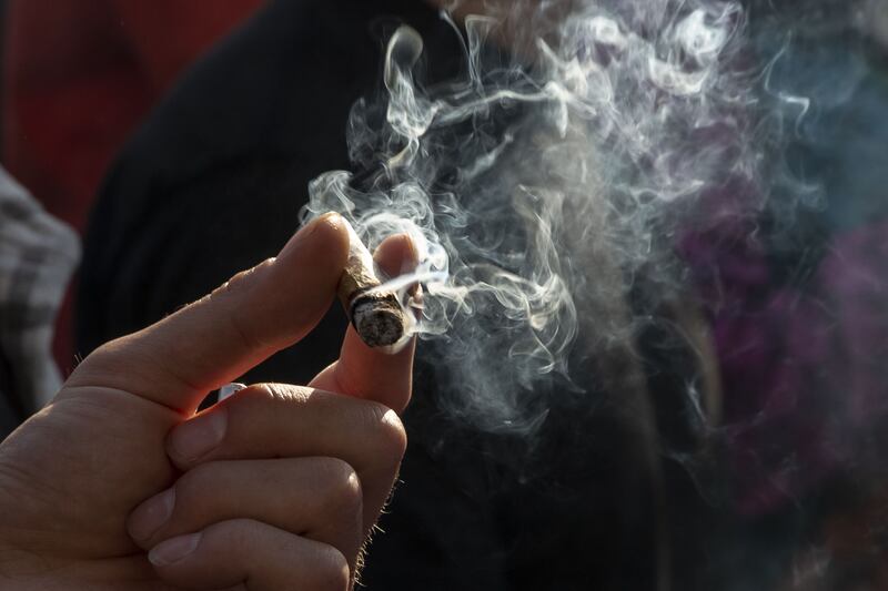 'There are health benefits to weed but they are oversold.' Photograph: Sarah Yenesel/EPA