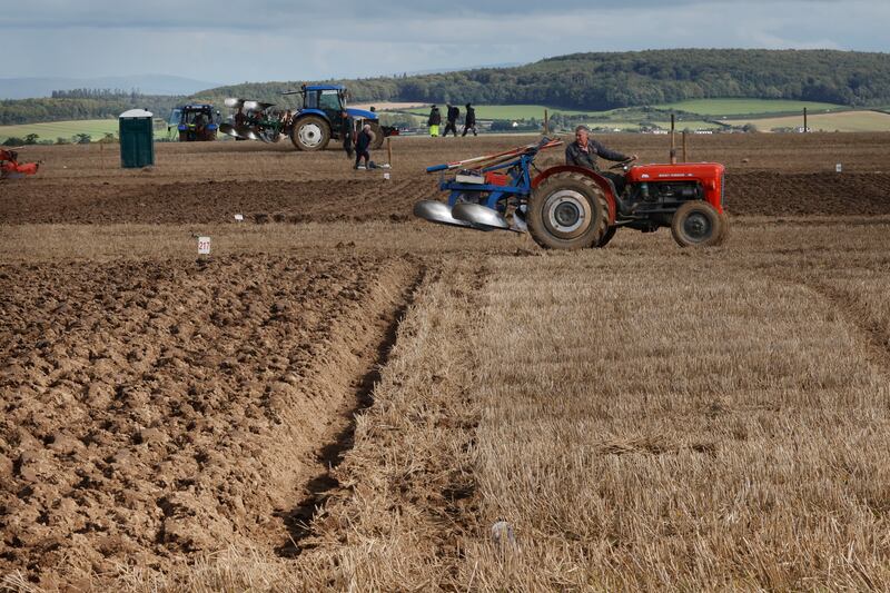 A tractor driver looks over his shoulder during one of the ploughing competitions. Photograph: Alan Betson/The Irish Times