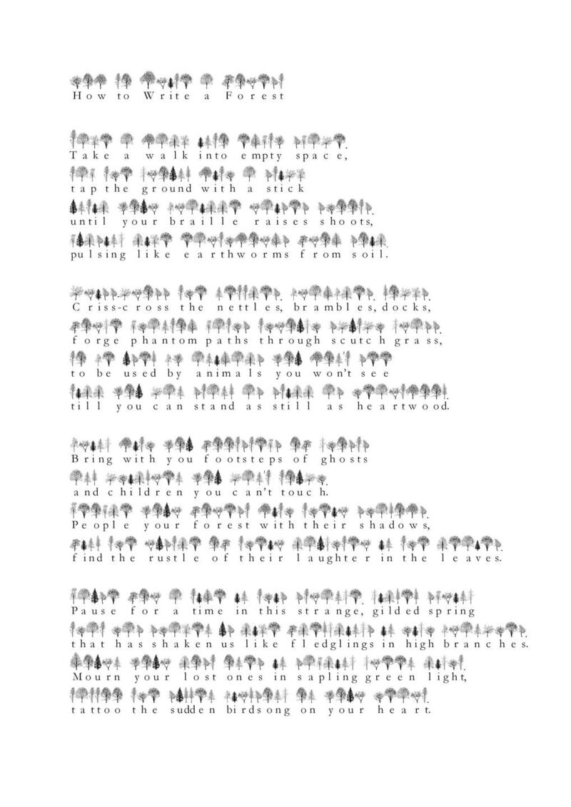 How to Write a Forest is a collaborative writing project by poet Jessica Traynor and visual artist and activist Katie Holten, commissioned by VISUAL Carlow and Carlow County Council Arts Service