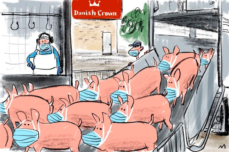 Danish Corona, Dagens tegning 6.08.20