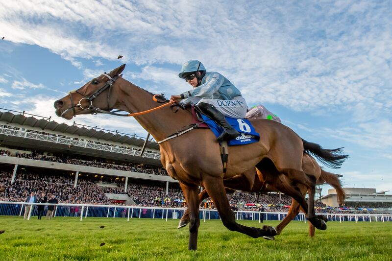 Rachael Blackmore onboard Honeysuckle during the Irish Champions Hurdle won by State Man at Leopardstown. Photograph: Morgan Treacy/Inpho 