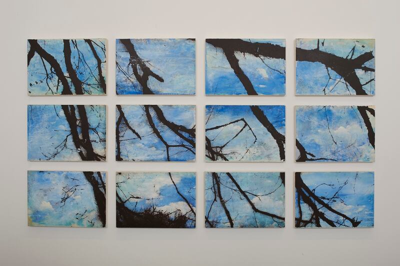 Sky Branches (2017) by Elizabeth Magill