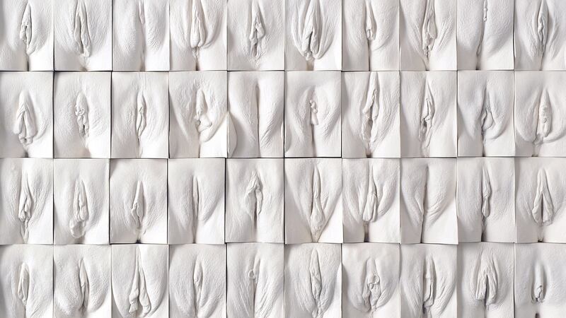 The Great Wall of Vagina, artwork by Jamie McCartney