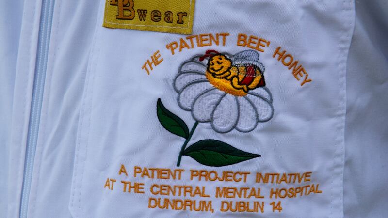 Bee keeper suit at the Central Mental Hospital, Dundrum. Photograph: Cyril Byrne/The Irish Times