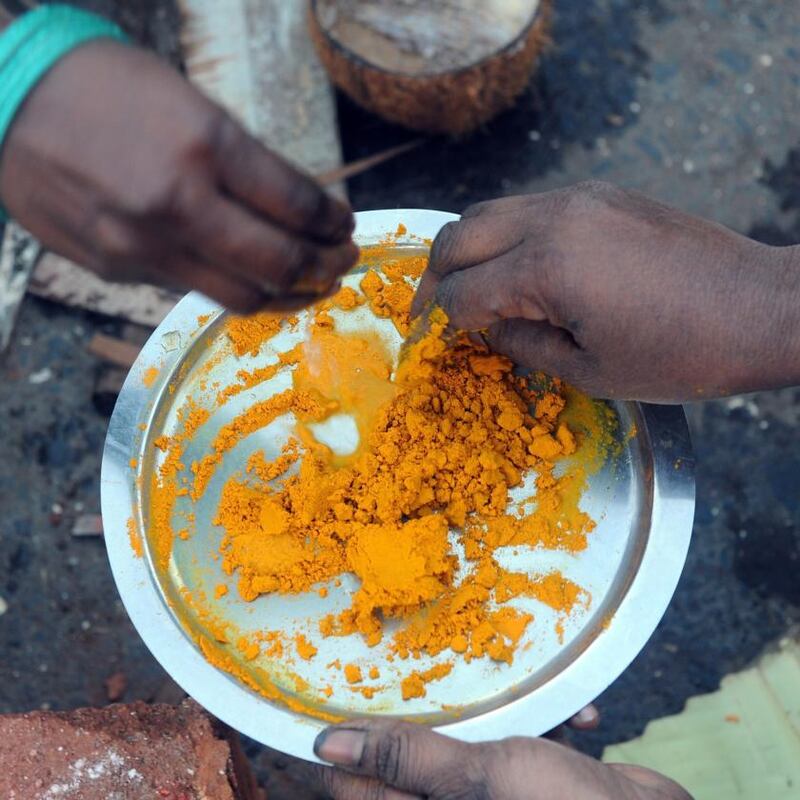 Turmeric has been used in ayurvedic medicine for thousands of years. Photograph: Indranil Mukherjee/AFP via Getty
