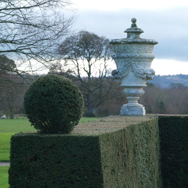 It’s hard to beat the classic simplicity of a well-grown yew hedge (Taxus baccata). Photograph: Richard Johnston