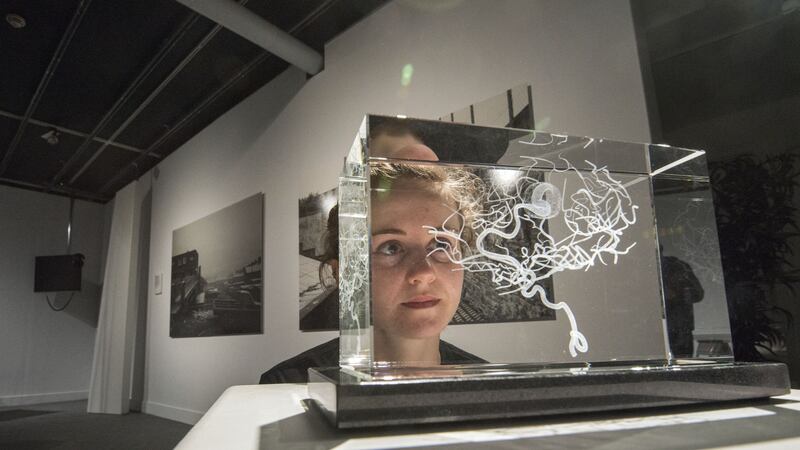 An exhibition at the Science Gallery in Dublin. Photograph: Brenda Fitzsimons