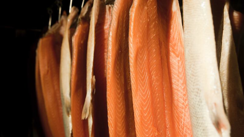 Wild salmon hanging in a smokehouse