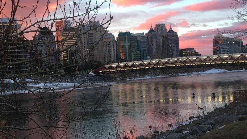 Gillian Caffrey-Ivie’s photograph of an icy Calgary