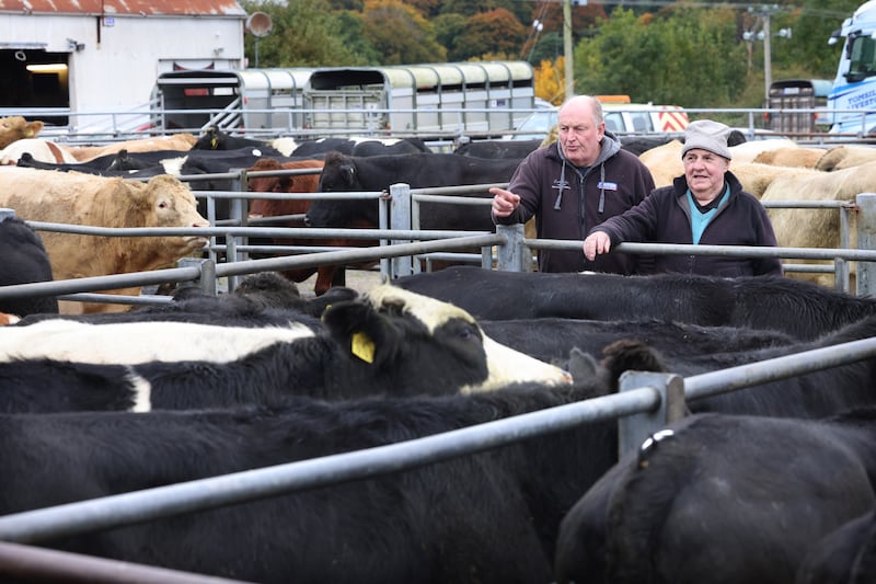 Patrick Gorman (left) and Paddy Brennan at the mart. Photograph: Dara Mac Dónaill/The Irish Times