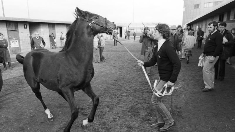 Shergar was stolen from Ballymany Stud in Co Kildare on the night of February 9th, 1983. 'He was a very kind horse. If they had wanted to steal a horse, they couldn’t have found a kinder horse,' said Doreen Swinburn. File photograph: Matt Kavanagh