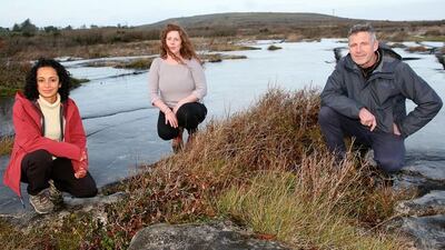 Pranjali Bhave, Áine Bird and Brendan Dunford. Photograph: Willie O'Reilly