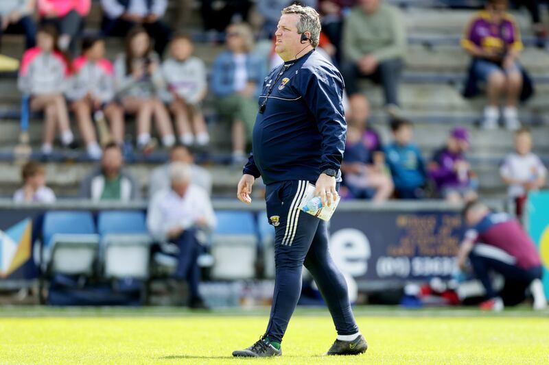 Darragh Egan surveys the pitch before his Wexford team take on Westmeath in May. Photograph: Laszlo Geczo/Inpho