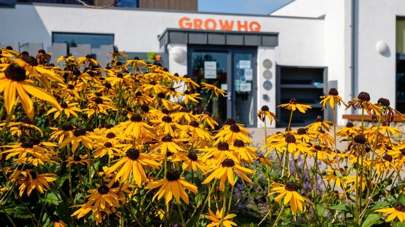 Grow HQ in Waterford city.