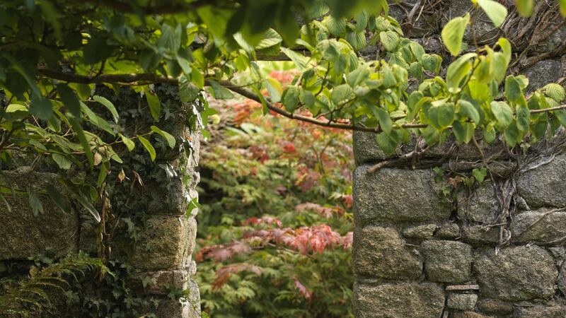 Photograph: Richard Johnston