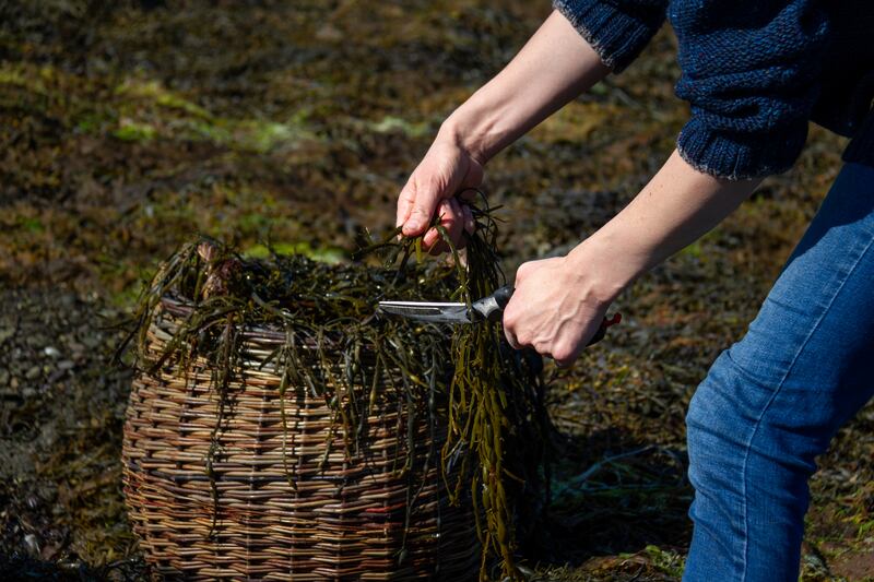 Claire O'Sullivan in Bantry. Photograph: Andy Gibson