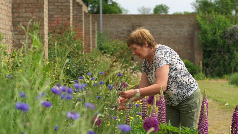 Photograph: Richard Johnston