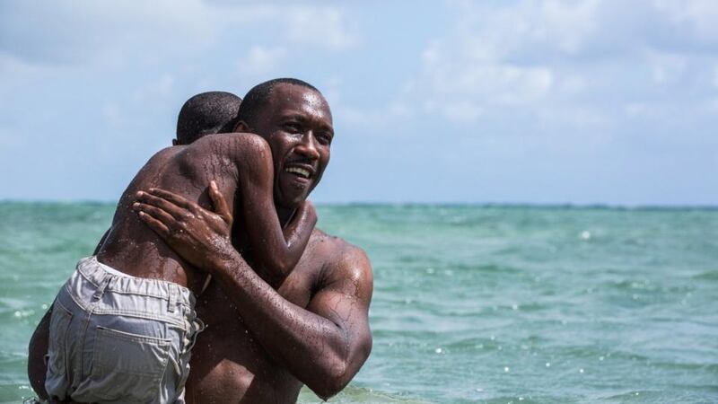 Moonlight: A small, eccentric film from an African-American director  had helped confirm that the Academy’s demographics were opening up.