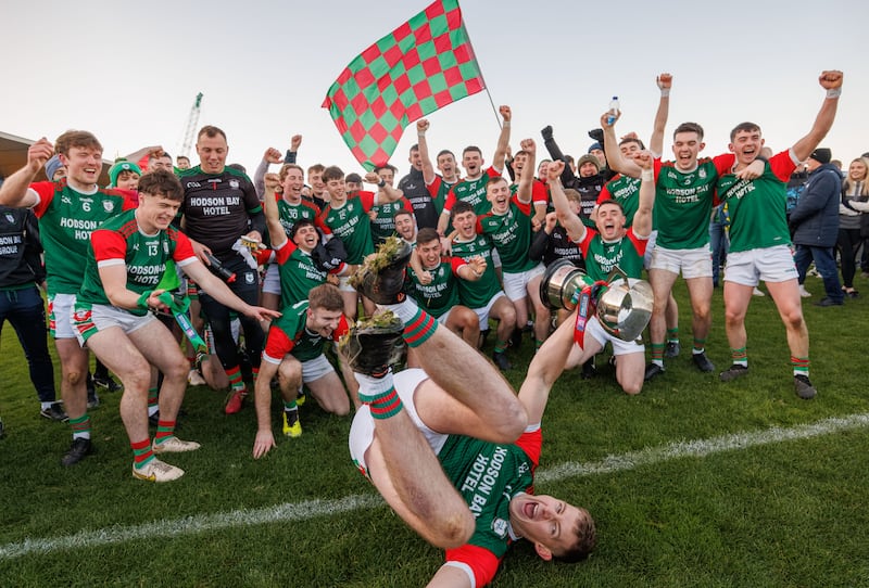 St Brigid’s Mark Daly celebrates with his team. Photograph: James Crombie/Inpho