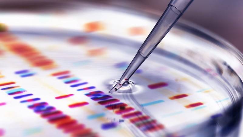 Scientists have figured out how to precisely target edits in the ‘letters’ of DNA in a cell with a system called Crispr-Cas9.