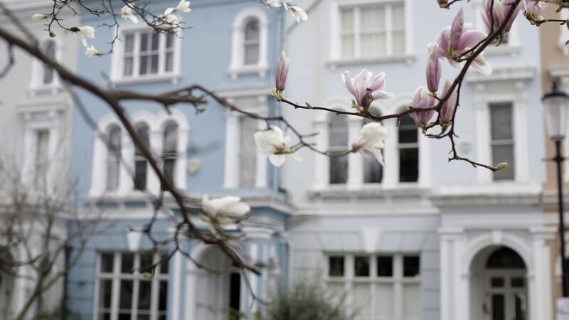 Magnolia buds sitting on a tree. Photograph: Matthew Lloyd/Bloomberg via Getty Images