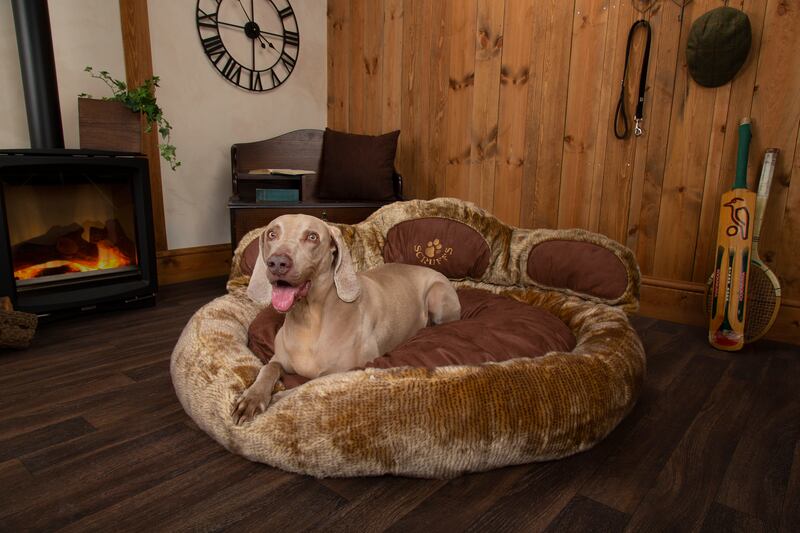 Scruffs grizzly bear dog bed, €249.99