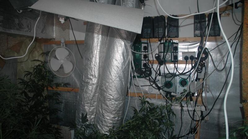 Cannabis grow house: the Garda seized 37 plants worth an estimated €110,000 from the house in Marino