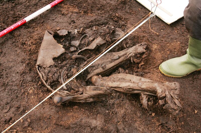 The bog body in the Bord Na Móna Cashel Bog in Co Laois. Photograph: Alan Betson