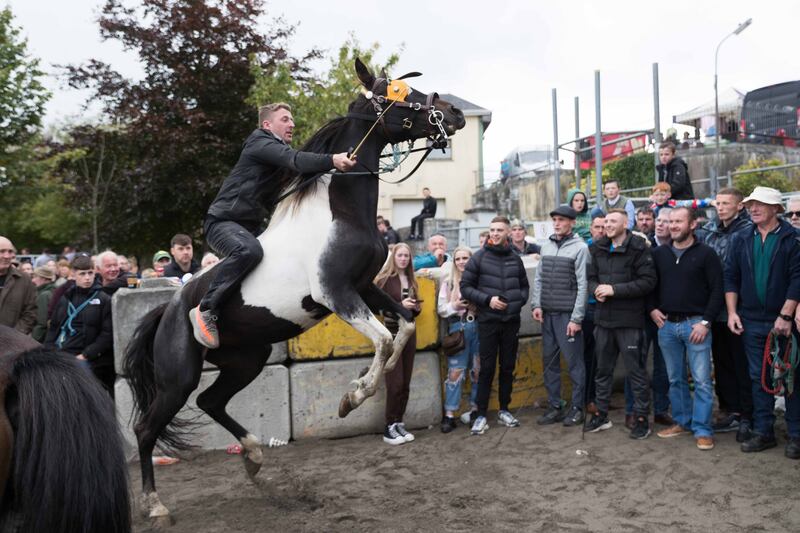Darryl Howe from Dublin putting his horse through his paces at the 300th annual Ballinasloe Horse Fair, Co Galway on Sunday. Photograph: Eamon Ward