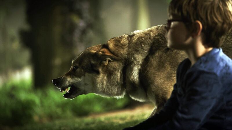 Brendan Meyer in Color Out of Space. Photograph: RLJE Films