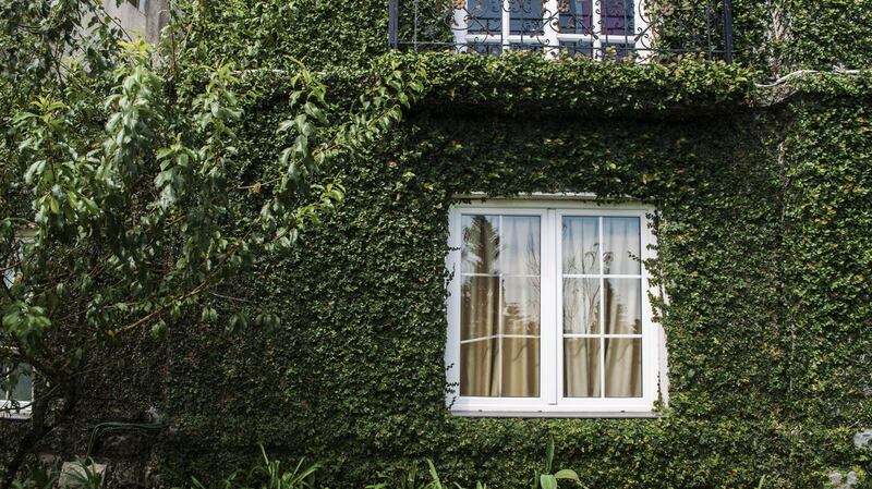 An ESRI study in 2016 found around 30% of  empty-nest couples lived in homes with seven rooms or more. Photograph: iStock