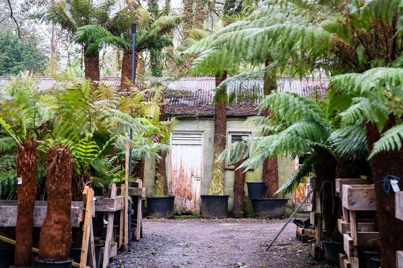 Billy Alexander's Kells Bay House & Gardens in Co Kerry