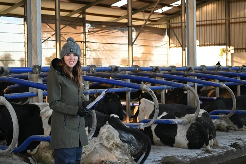 Photos supplied by and of Cork based vet Hazell Mullins.
Pic Daragh Mc Sweeney/Provision