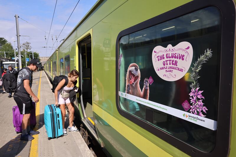 'The elusive otter', one of 12 animal illustrations that appear on Dart windows. Photograph: Dara Mac Dónaill