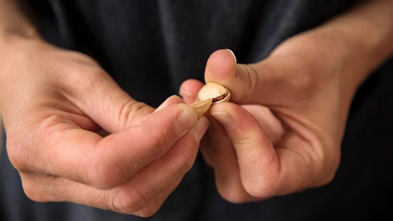 Using one pistachio shell to open another. Photograph: Linda Nylind/The Guardian