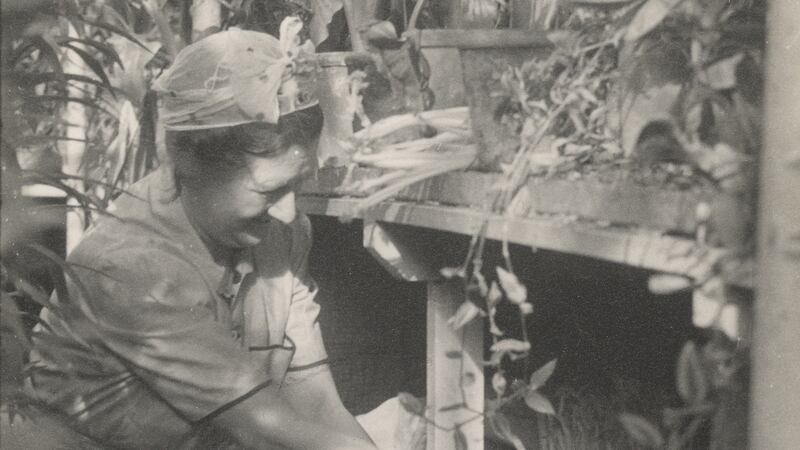 Constance Spry working in a greenhouse.