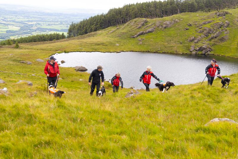 Sarda Ireland volunteers Gerry Tobin with Fia, Sean Owens with Indy, chairwoman Martina O’Kearney, Angela Houlihan with Sly, and Helen Connolly with Rosie. Photograph: Patrick Browne