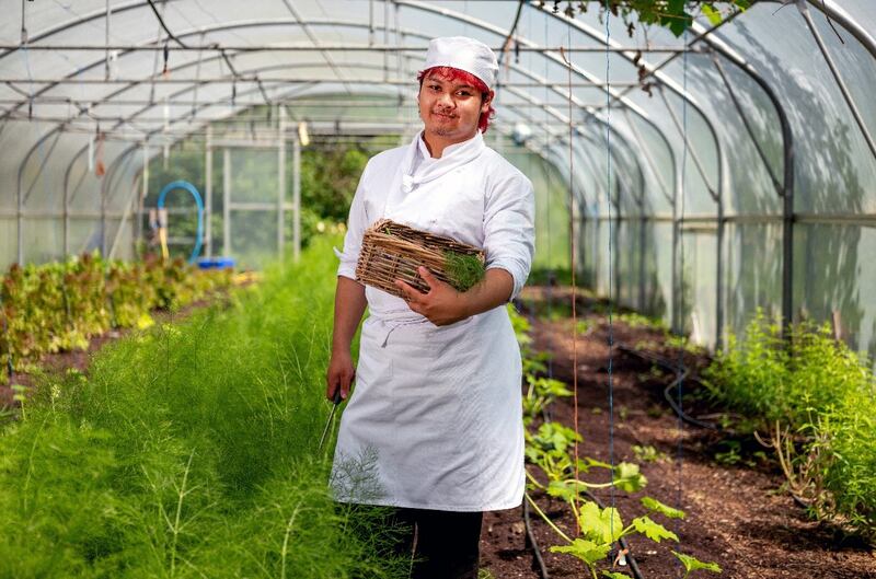 Culinary arts student Carlos Palieo in a polytunnel at Airfield Estate