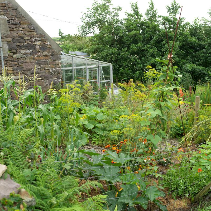 Photograph: Richard Johnston