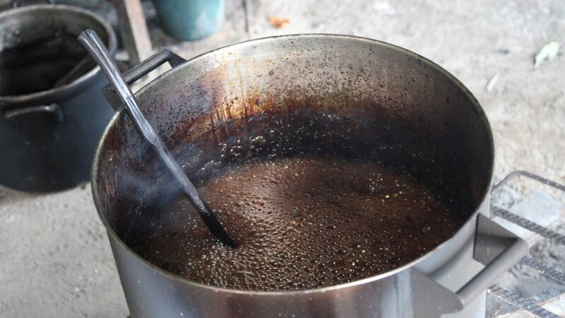 Boiling ayahuasca brew, a potent and noxiously bitter tea containing the molecule   DMT, which causes strong and intense hallucinations that users claim can bring insight, euphoria and heightened awareness.  Photograph: iStock