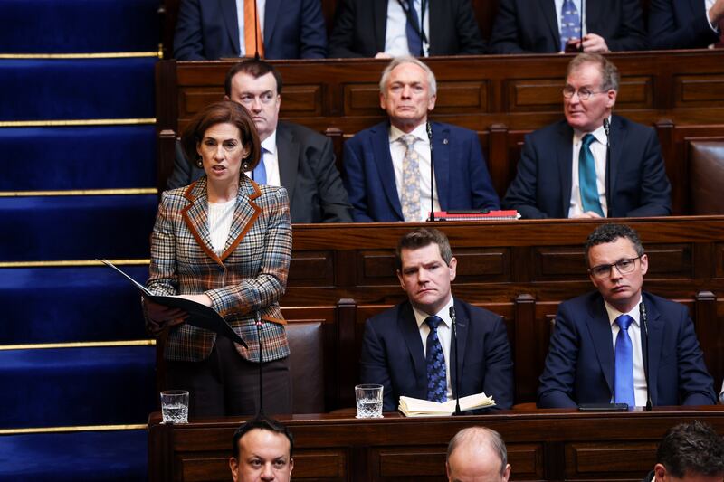 Hildegarde Naughton speaks in the chamber, ahead of Harris's nomination as Taoiseach. Photograph: Maxwells