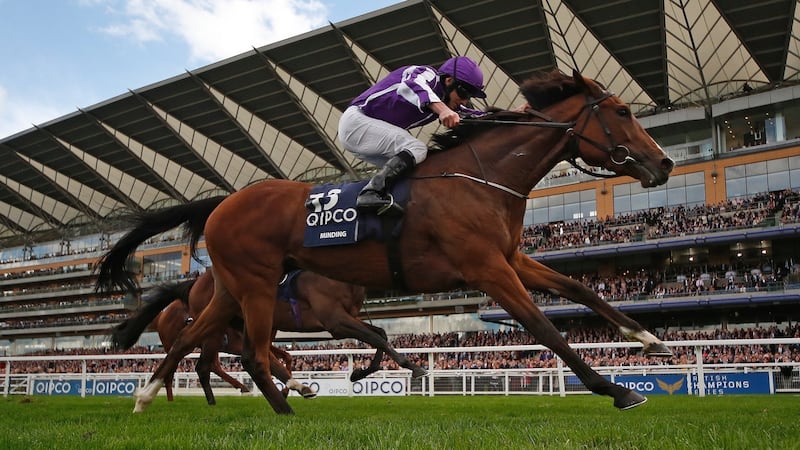 Ryan Moore rides Minding to victory in the Queen Elizabeth Stakes at Ascot in October. Yesterday Minding was named Horse Racing Ireland Horse of the Year. Photograph: Getty Images