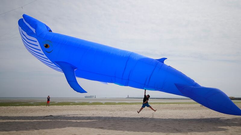 Photograph Nick Bradshaw