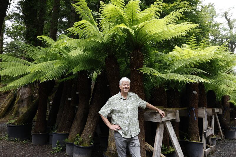 Billy Alexander with his award winning ferns.
