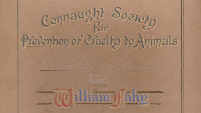 The certificate issued by the Connaught Society for the Prevention of Cruelty to Animals